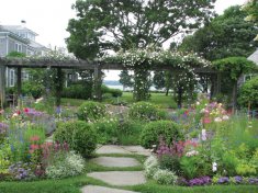 Donaroma's Nursery & Landscape Services