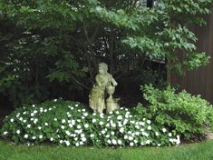Donaroma's Nursery & Landscape Services
