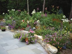 Donaroma's Nursery & Landscape Services
