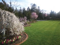 Donaroma's Nursery & Landscape Services