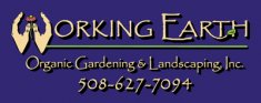Donaroma's Nursery & Landscape Services