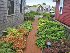 Donaroma's Nursery & Landscape Services