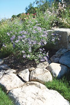 Donaroma's Nursery & Landscape Services